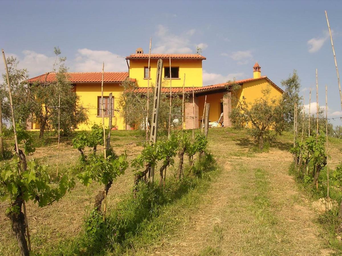 Villa In Campagna Costa Al Bagno Montopoli in Val d'Arno Exterior photo